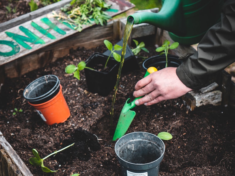 Planting and refreshing a landscape bed